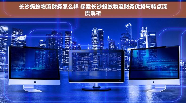 长沙蚂蚁物流财务怎么样 探索长沙蚂蚁物流财务优势与特点深度解析