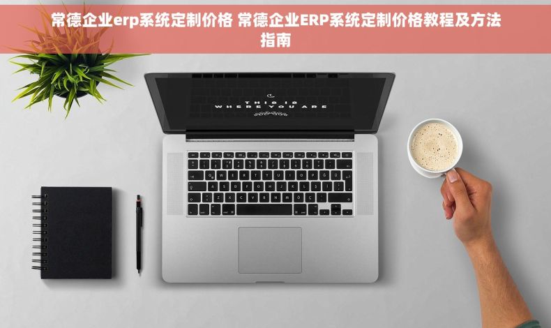 常德企业erp系统定制价格 常德企业ERP系统定制价格教程及方法指南