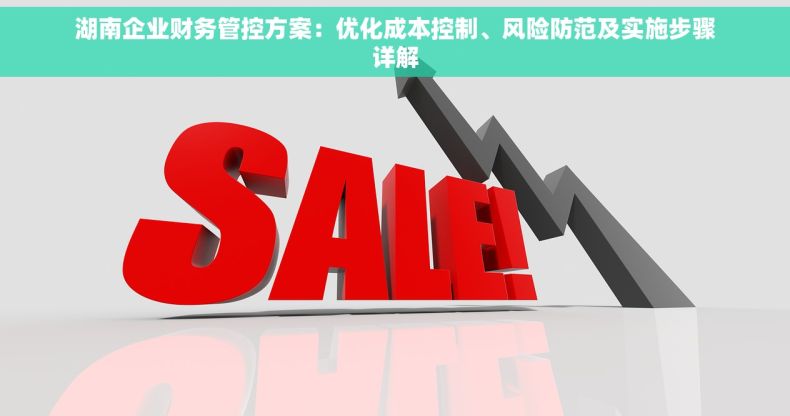 湖南企业财务管控方案：优化成本控制、风险防范及实施步骤详解