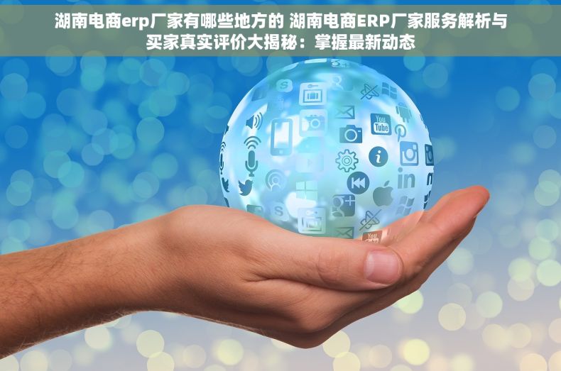 湖南电商erp厂家有哪些地方的 湖南电商ERP厂家服务解析与买家真实评价大揭秘：掌握最新动态