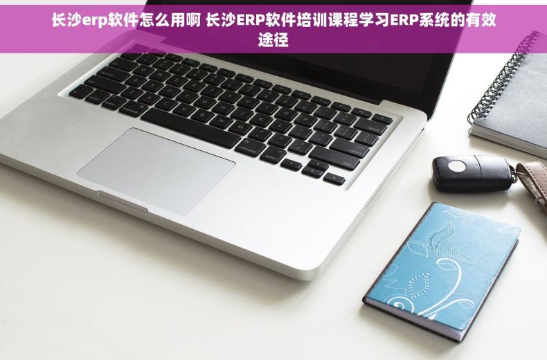 长沙erp软件怎么用啊 长沙ERP软件培训课程学习ERP系统的有效途径