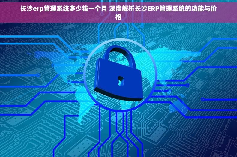 长沙erp管理系统多少钱一个月 深度解析长沙ERP管理系统的功能与价格