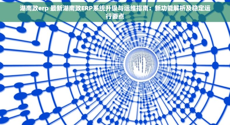 湖南政erp 最新湖南政ERP系统升级与运维指南：新功能解析及稳定运行要点