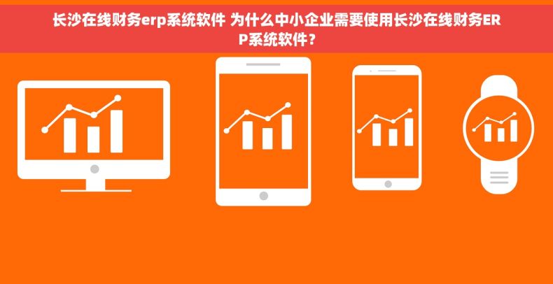 长沙在线财务erp系统软件 为什么中小企业需要使用长沙在线财务ERP系统软件？