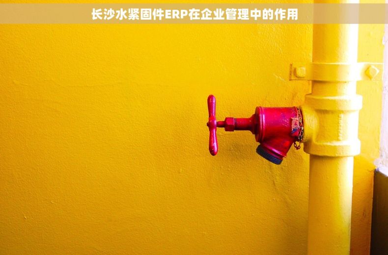 长沙水紧固件ERP在企业管理中的作用