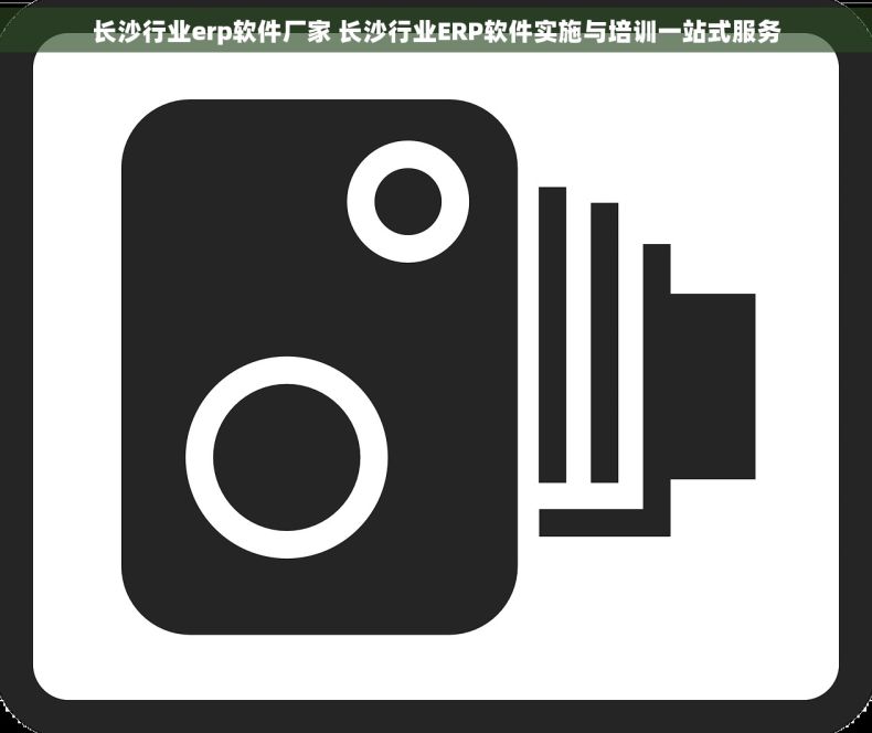 长沙行业erp软件厂家 长沙行业ERP软件实施与培训一站式服务