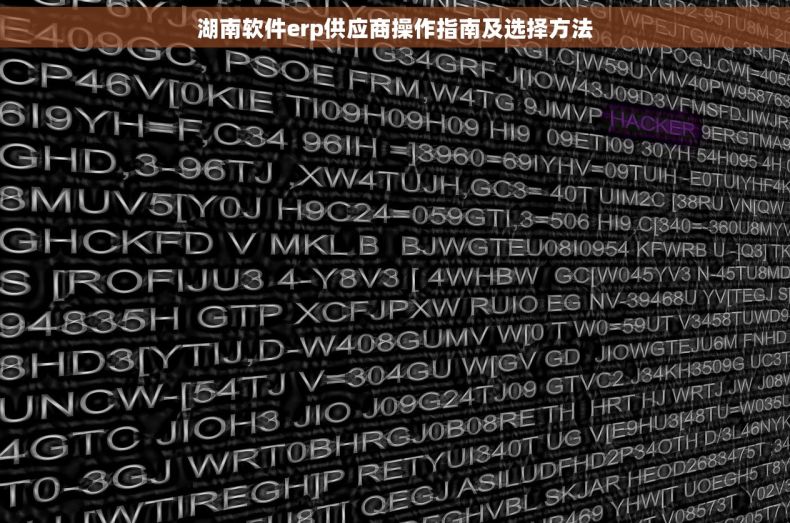 湖南软件erp供应商操作指南及选择方法