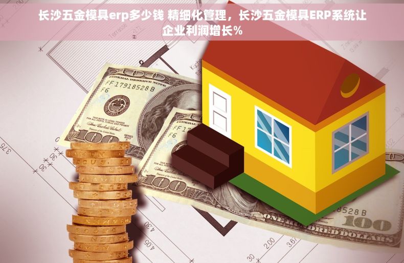 长沙五金模具erp多少钱 精细化管理，长沙五金模具ERP系统让企业利润增长%
