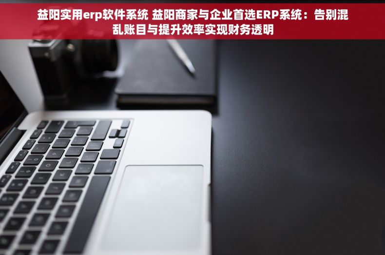 益阳实用erp软件系统 益阳商家与企业首选ERP系统：告别混乱账目与提升效率实现财务透明