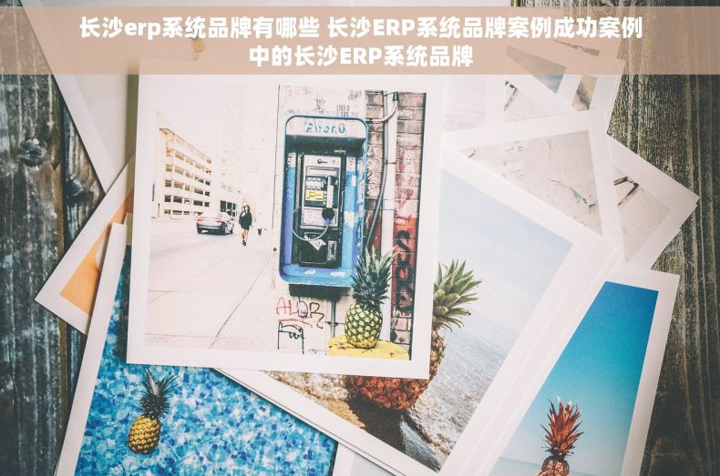 长沙erp系统品牌有哪些 长沙ERP系统品牌案例成功案例中的长沙ERP系统品牌
