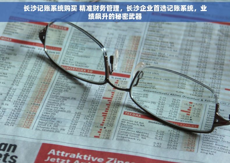 长沙记账系统购买 精准财务管理，长沙企业首选记账系统，业绩飙升的秘密武器