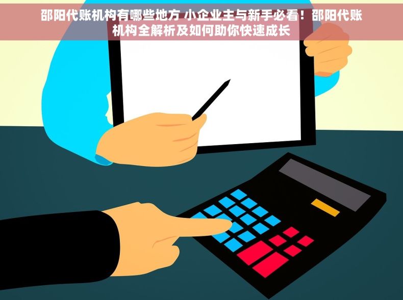 邵阳代账机构有哪些地方 小企业主与新手必看！邵阳代账机构全解析及如何助你快速成长