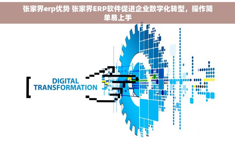 张家界erp优势 张家界ERP软件促进企业数字化转型，操作简单易上手