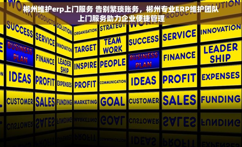 郴州维护erp上门服务 告别繁琐账务，郴州专业ERP维护团队上门服务助力企业便捷管理