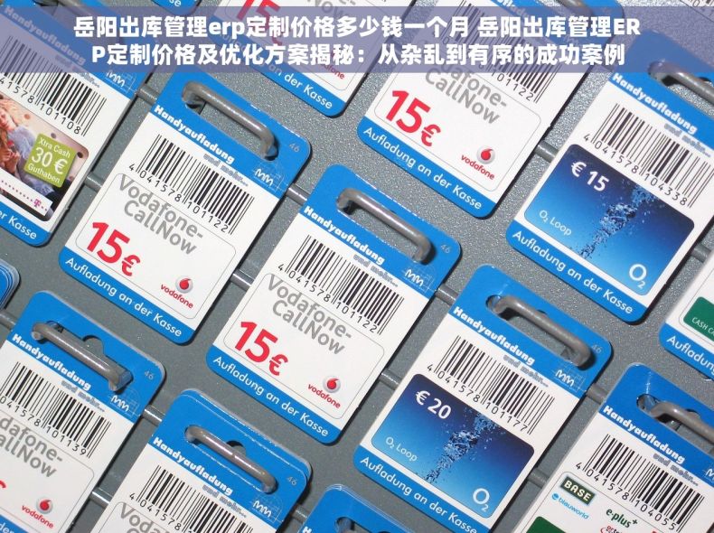岳阳出库管理erp定制价格多少钱一个月 岳阳出库管理ERP定制价格及优化方案揭秘：从杂乱到有序的成功案例