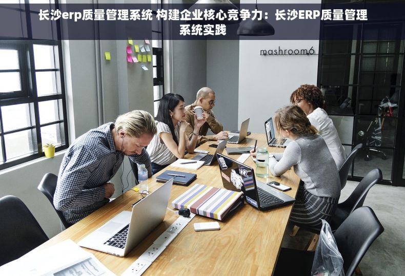 长沙erp质量管理系统 构建企业核心竞争力：长沙ERP质量管理系统实践