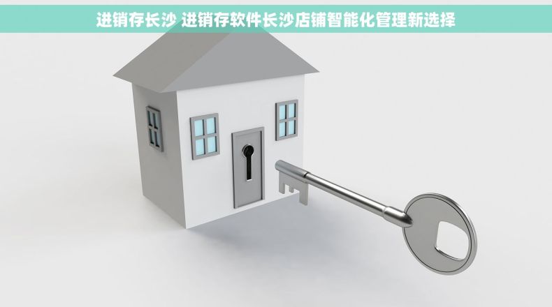 进销存长沙 进销存软件长沙店铺智能化管理新选择