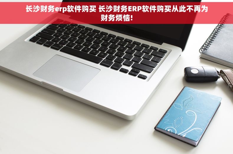 长沙财务erp软件购买 长沙财务ERP软件购买从此不再为财务烦恼!