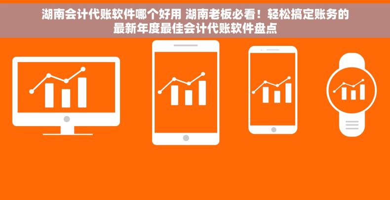 湖南会计代账软件哪个好用 湖南老板必看！轻松搞定账务的最新年度最佳会计代账软件盘点