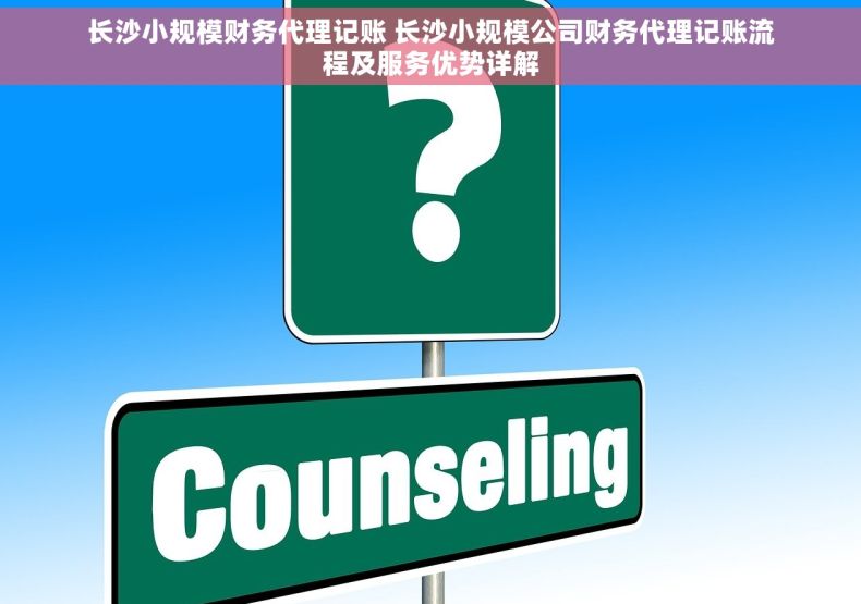 长沙小规模财务代理记账 长沙小规模公司财务代理记账流程及服务优势详解