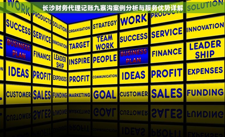 长沙财务代理记账九寨沟案例分析与服务优势详解