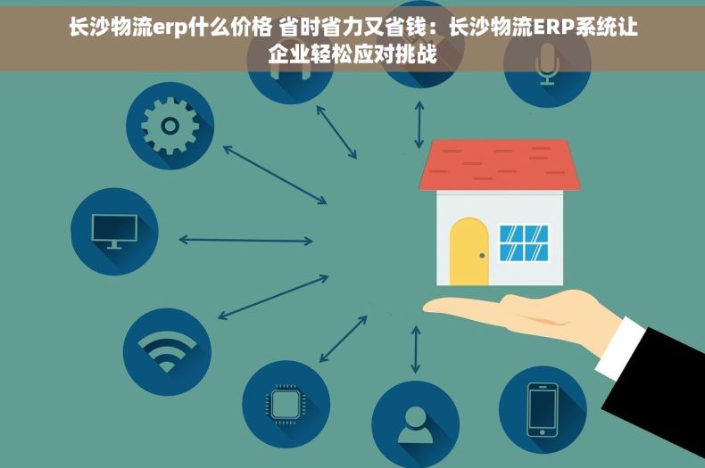 长沙物流erp什么价格 省时省力又省钱：长沙物流ERP系统让企业轻松应对挑战