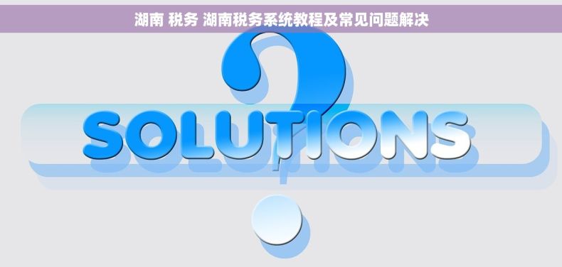 湖南 税务 湖南税务系统教程及常见问题解决