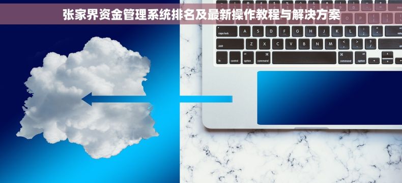 张家界资金管理系统排名及最新操作教程与解决方案