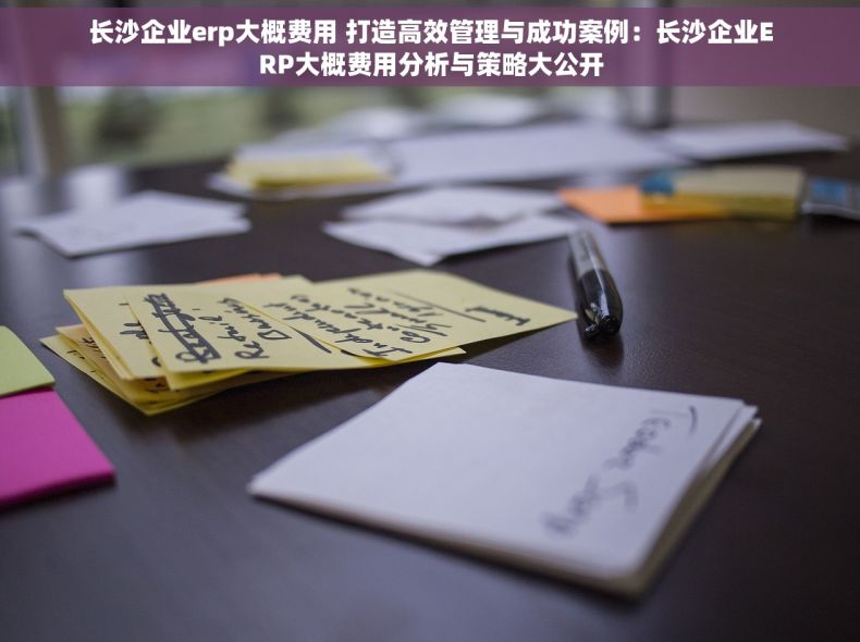 长沙企业erp大概费用 打造高效管理与成功案例：长沙企业ERP大概费用分析与策略大公开