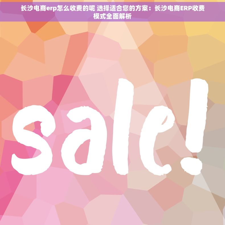 长沙电商erp怎么收费的呢 选择适合您的方案：长沙电商ERP收费模式全面解析