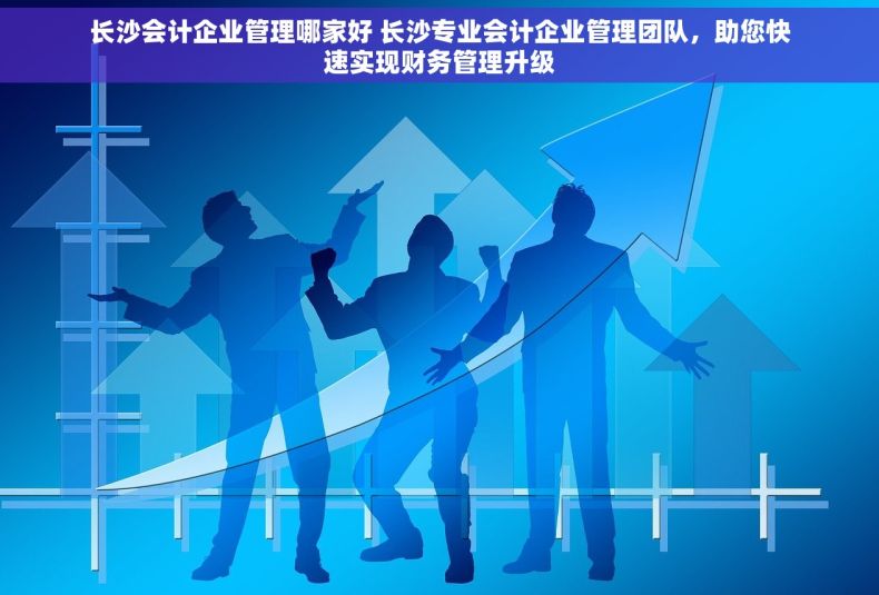 长沙会计企业管理哪家好 长沙专业会计企业管理团队，助您快速实现财务管理升级