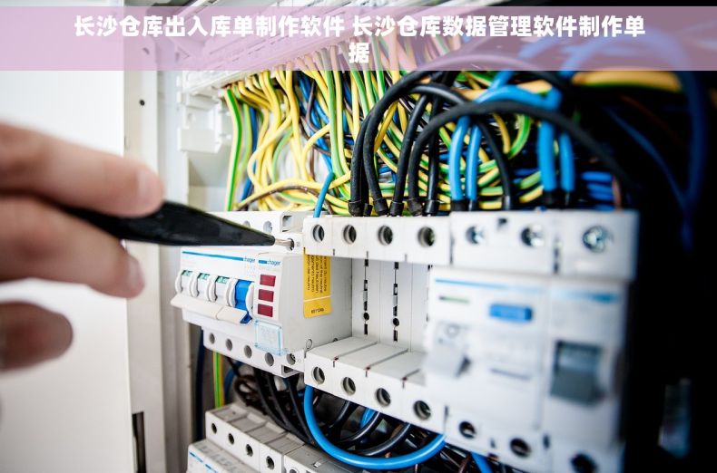 长沙仓库出入库单制作软件 长沙仓库数据管理软件制作单据