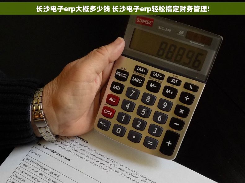 长沙电子erp大概多少钱 长沙电子erp轻松搞定财务管理!