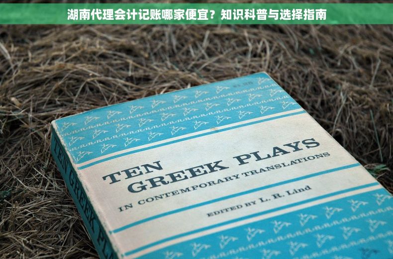 湖南代理会计记账哪家便宜？知识科普与选择指南