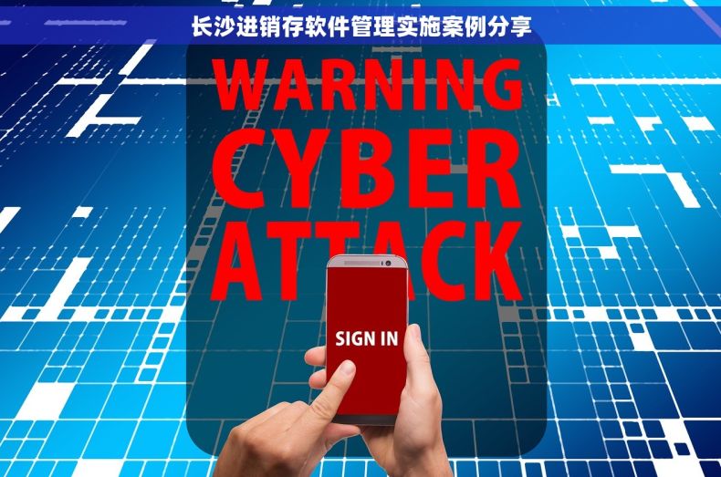 长沙进销存软件管理实施案例分享