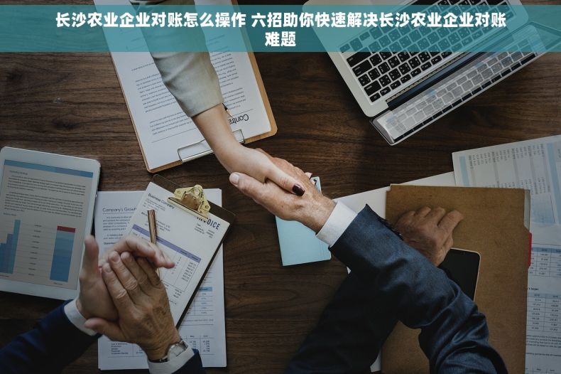 长沙农业企业对账怎么操作 六招助你快速解决长沙农业企业对账难题