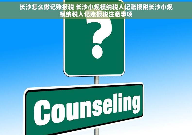 长沙怎么做记账报税 长沙小规模纳税人记账报税长沙小规模纳税人记账报税注意事项