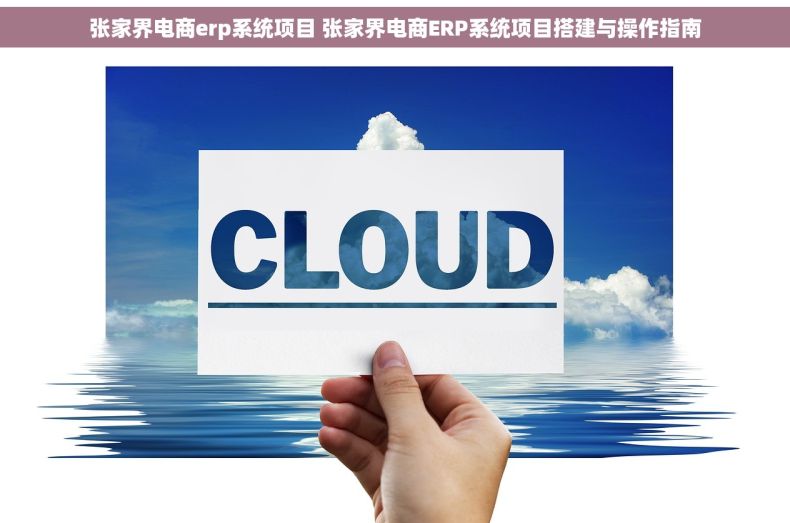 张家界电商erp系统项目 张家界电商ERP系统项目搭建与操作指南