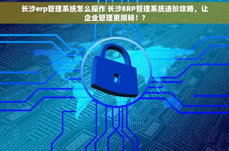 长沙erp管理系统怎么操作 长沙ERP管理系统进阶攻略，让企业管理更顺畅！?