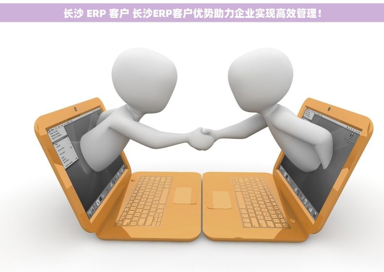 长沙 ERP 客户 长沙ERP客户优势助力企业实现高效管理！