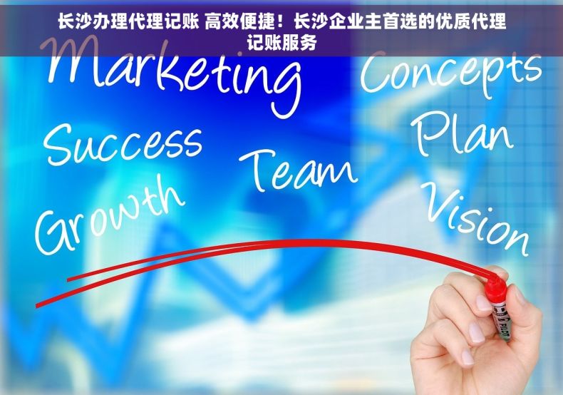 长沙办理代理记账 高效便捷！长沙企业主首选的优质代理记账服务