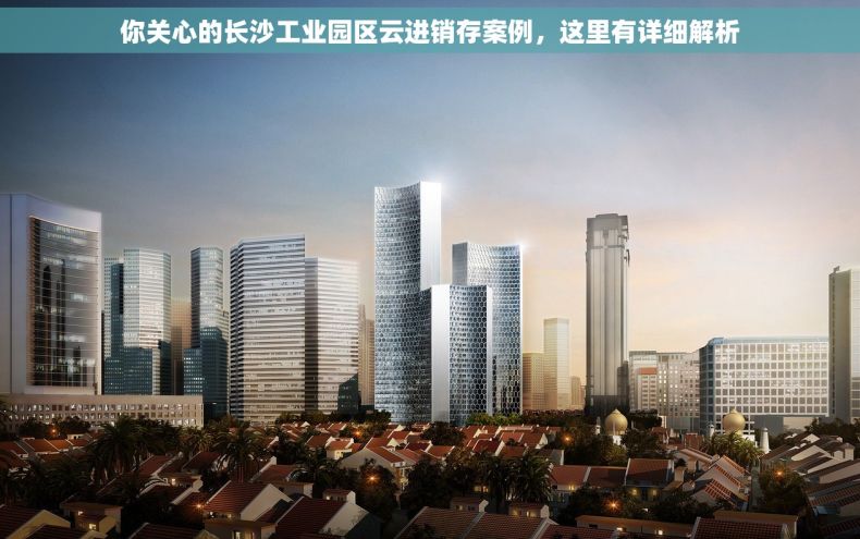 你关心的长沙工业园区云进销存案例，这里有详细解析