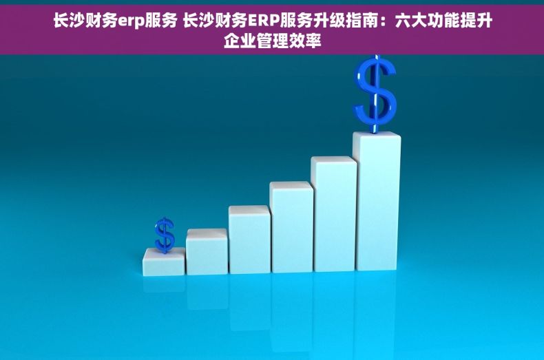 长沙财务erp服务 长沙财务ERP服务升级指南：六大功能提升企业管理效率