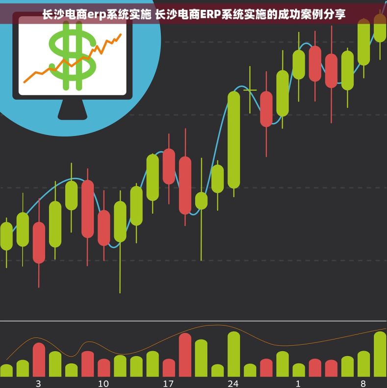 长沙电商erp系统实施 长沙电商ERP系统实施的成功案例分享