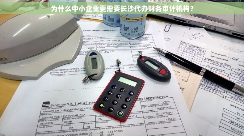 为什么中小企业更需要长沙代办财务审计机构？