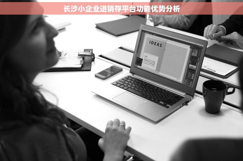 长沙小企业进销存平台功能优势分析