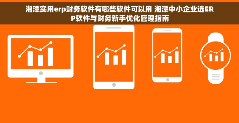 湘潭实用erp财务软件有哪些软件可以用 湘潭中小企业选ERP软件与财务新手优化管理指南