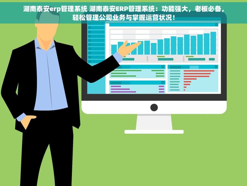 湖南泰安erp管理系统 湖南泰安ERP管理系统：功能强大，老板必备，轻松管理公司业务与掌握运营状况！