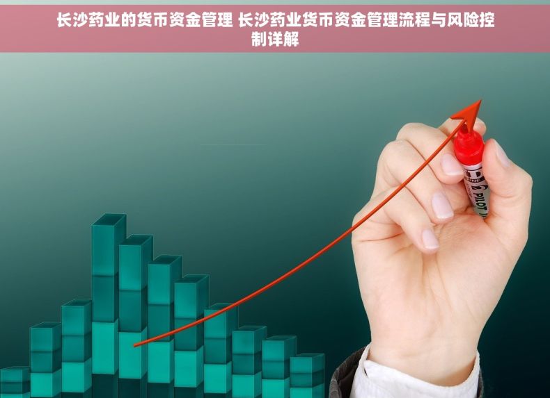 长沙药业的货币资金管理 长沙药业货币资金管理流程与风险控制详解