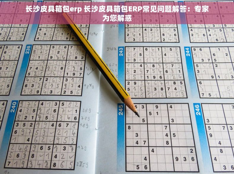 长沙皮具箱包erp 长沙皮具箱包ERP常见问题解答：专家为您解惑